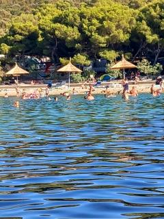 Apartmani Frkic - Tisno - 9