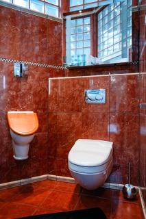 H4N - Design Villa Luxury with Jacuzzi and Garage - Rüdesheim am Rhein - 4