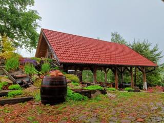 Unique Farmstay Experience - Domačija Šraj - Pesnica pri Mariboru - 0