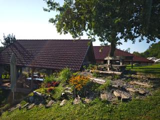Unique Farmstay Experience - Domačija Šraj - Pesnica pri Mariboru - 6