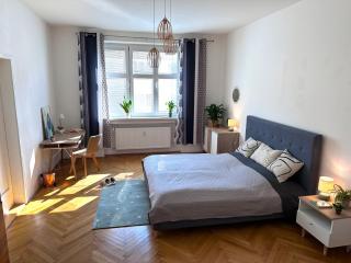 Renovated Apartment in City Center, 3 bedrooms, lift - Bratislava - 0