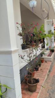Vintage homes - 7