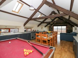 Llwyngwinau Isaf Barn - Tregaron - 2
