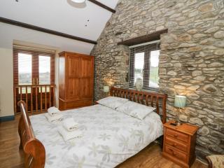 Llwyngwinau Isaf Barn - Tregaron - 1