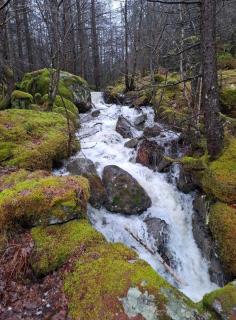 Guesthouse Vågen - 1