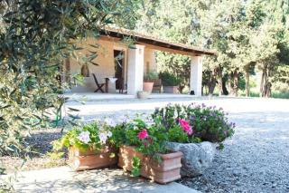 Agriturismo Oliveto Politi - Casarano - 0