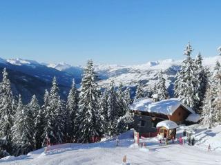 Chalet Braconnier Appartement Cervin - 7