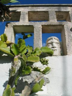 Il GIARDINO della FALENA - 2
