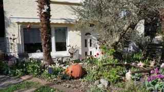 Ferienwohnung Palmengarten Bad Honnef - 9