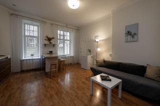 Spacious apartment - Riga - 9