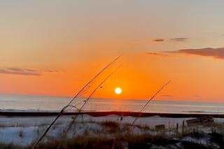Dunes of Panama C104 - Panama City Beach - 9