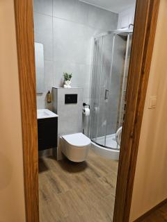 Apartamenty i Pokoje Koleczkowo - Koleczkowo - 3