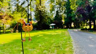 Joy House - Woodinville - 8