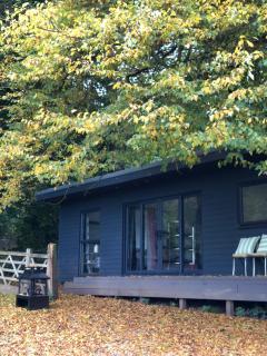 Farm woodland riverview cabin bbq firepit pet friendly - Hertford - 5