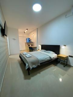 Viridian Three Accommodation, Studio 2 - Valjevo - 9