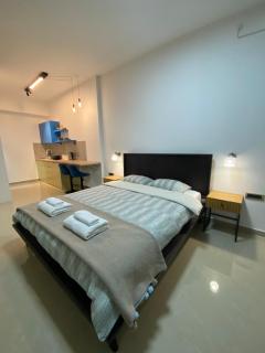 Viridian Three Accommodation, Studio 2 - Valjevo - 8