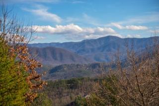 Running Bear - Sevierville - 2