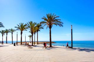La Casa de Pedro - Torrevieja - 5
