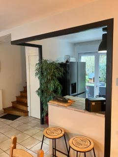 28 rue Louis Bleriot 72700 Alonnes - Allonnes - 6