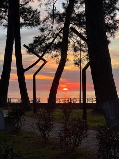 Sweet Home - Kobuleti - 3