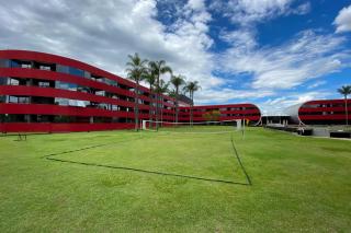 Ozped Flats Particulares Golden Tulip - 0