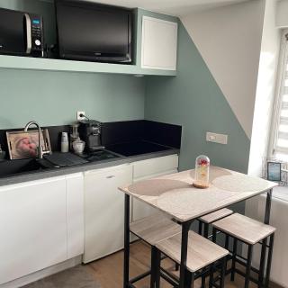 Sublime studio en face de la Moselle - Chavelot - 5