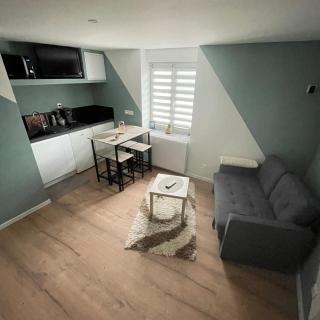 Sublime studio en face de la Moselle - Chavelot - 0