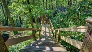 Mountain Laurel Tree House - Highlands - 4