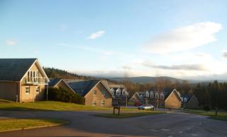 Favour - Banchory - 5