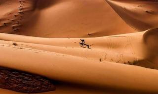 Berber campsite - Merzouga - 1