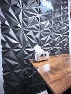 OKC Casita - Newly Remodeled, Modern 2 BR home - Family and pet friendly Plus Hot tub - Oklahoma City - 1
