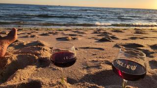 Beachfront Sonoran Sea on Sandy Beach, Unit 302E - 0