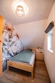 Holiday home in Trebnje - Kranjska (Krain) 53751 - 8