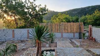 Cây Trôm Homestay 1 - Vĩnh Hy - 1