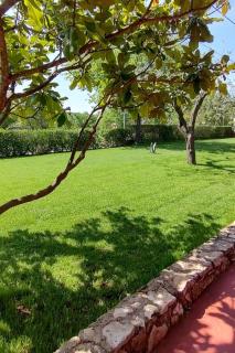 Apartments with parking space Fiorini, Novigrad - 6926 - 2