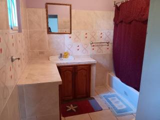 Delly's Guest House - Bantam Spring - 8