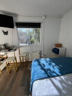 Cabaña Estilo Container - Puerto Montt - 5
