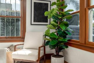 Falcon Street Retreat - Your Cozy San Diego Getaway - San Diego - 5