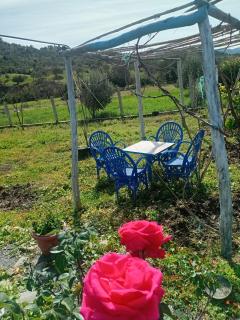 Dar zitouna - Chefchaouene - 7