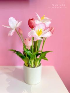 Flamingo Hải Tiến - Thanh Hóa chính chủ - Thanh Hóa - 4