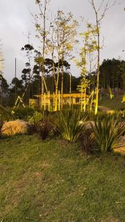 Camping do Bosque - Deck 01 - 3