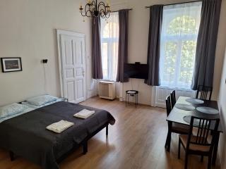 Lofty Apartment with Free Garage near the Gozsdu Courtyard - Budapest - 9