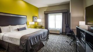 Best Western Plus Bay City Inn & Suites - 1