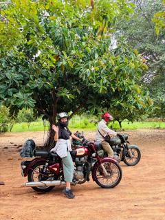Gold Crown Residence - Dambulla - 1