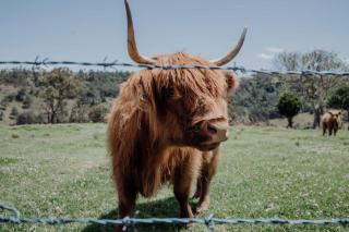 Meadow View Cottage - 6