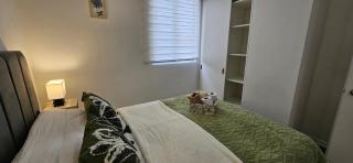 Ameno y Familiar Departamento con 3 dormitorios con 2 camas Matrimonial - Rancagua - 1