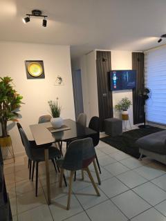 Ameno y Familiar Departamento con 3 dormitorios con 2 camas Matrimonial - Rancagua - 0