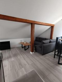 Włostowicka Ostoja Apartament - Puławy - 4