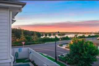 Bay side living - Redcliffe - 6