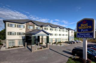 Best Western PLUS Vineyard Inn and Suites - 9